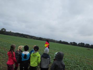 img-8716.JPG