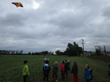 img-8723.JPG