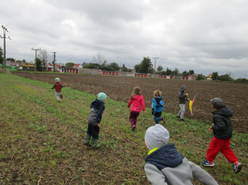 img-8725.JPG