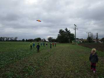 img-8726.JPG