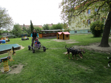 11043.jpg