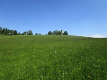 img-5726.JPG