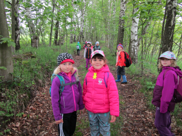 img-0718.JPG