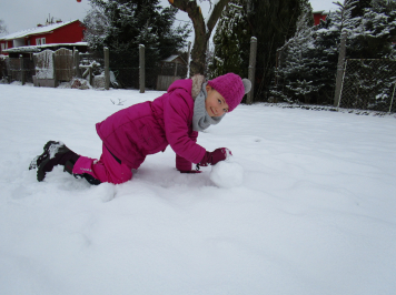 img-1708.JPG