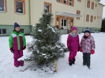 img-1721.JPG