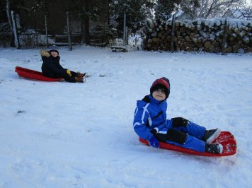 img-1729.JPG