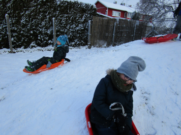 img-1733.JPG