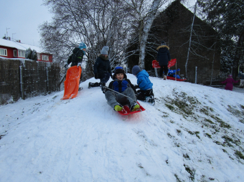 img-1734.JPG