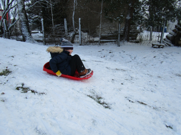 img-1736.JPG