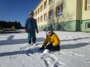 img-0490.JPG