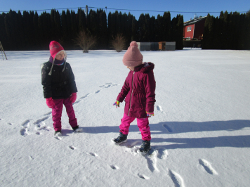 img-0492.JPG