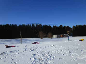 img-0506.JPG