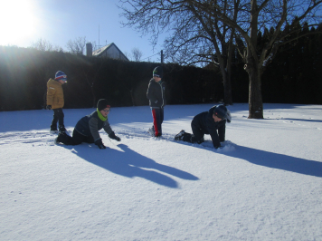 img-0507.JPG