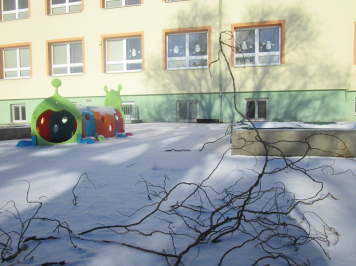 img-0510.JPG