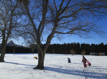 img-0511.JPG