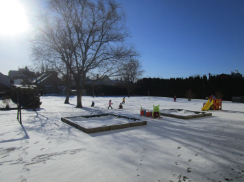 img-0513.JPG
