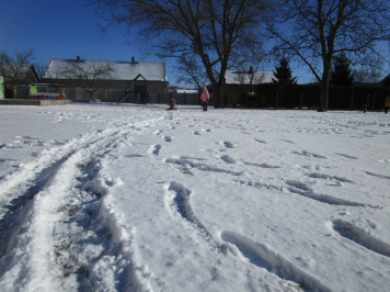 img-0518.JPG