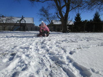 img-0519.JPG