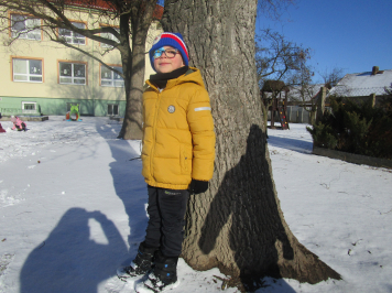 img-0520.JPG