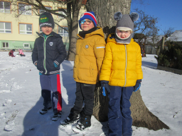 img-0521.JPG