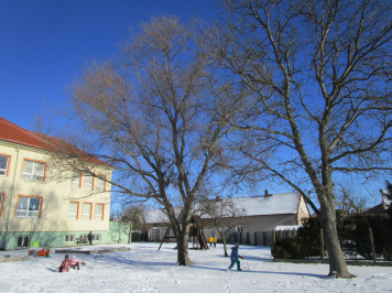 img-0527.JPG