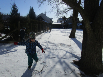 img-0528.JPG