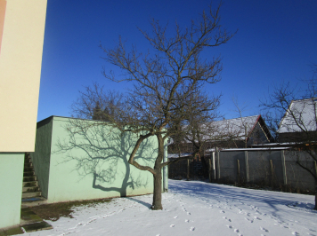 img-0529.JPG