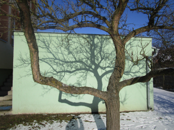 img-0531.JPG