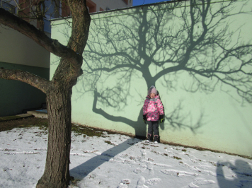 img-0533.JPG