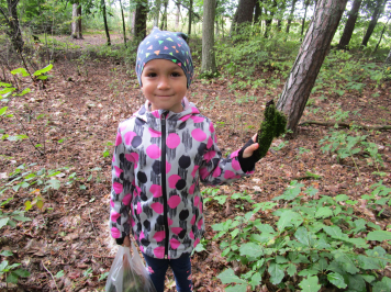 img-1447.JPG