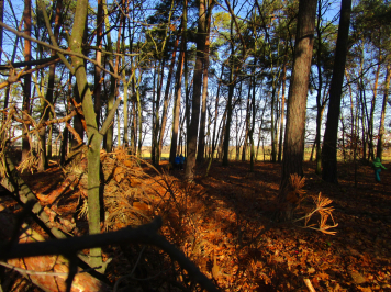 img-9922.JPG