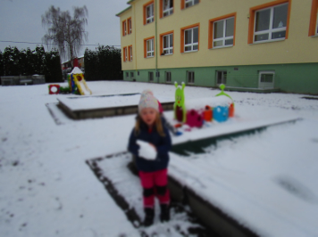 img-1675.JPG
