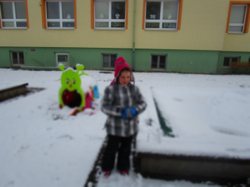 img-1676.JPG