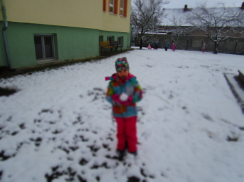 img-1680.JPG