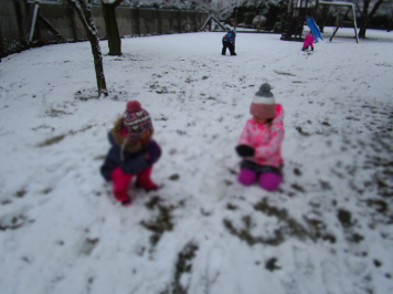 img-1681.JPG