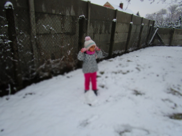 img-1682.JPG