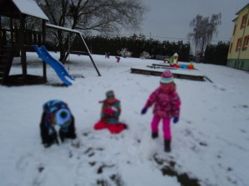 img-1683.JPG