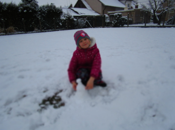 img-1687.JPG