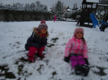 img-1690.JPG