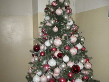 img-1901.JPG