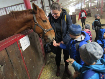 img-9563.JPG