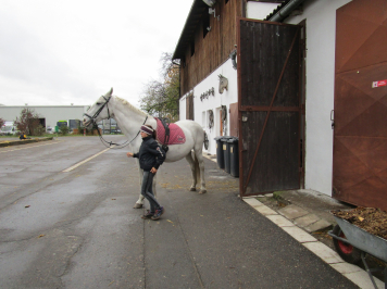 img-9578.JPG