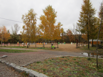 img-9599.JPG