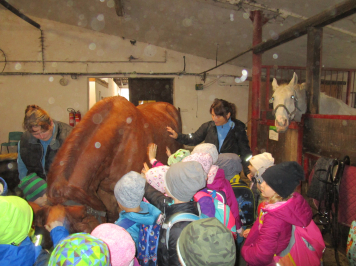 img-2324.JPG