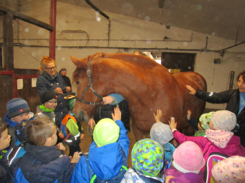 img-2325.JPG