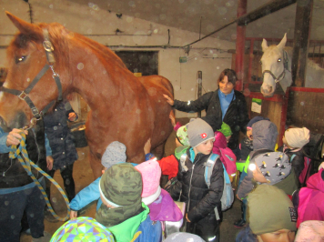 img-2326.JPG