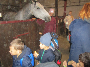 img-2336.JPG