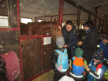 img-2354.JPG