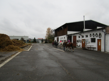 img-2363.JPG