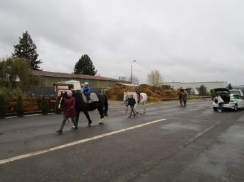 img-2369.JPG